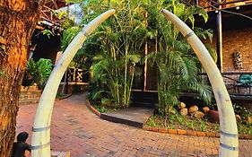 Kruger Dreams Lodge